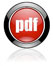 pdf_icon_2013